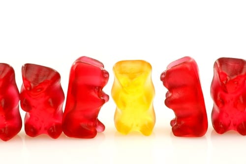 Cutting open and Comparing Gummy Bear Implants